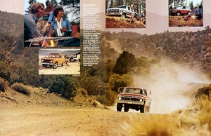 1976 Ford Free Wheelin'-16-17.jpg
